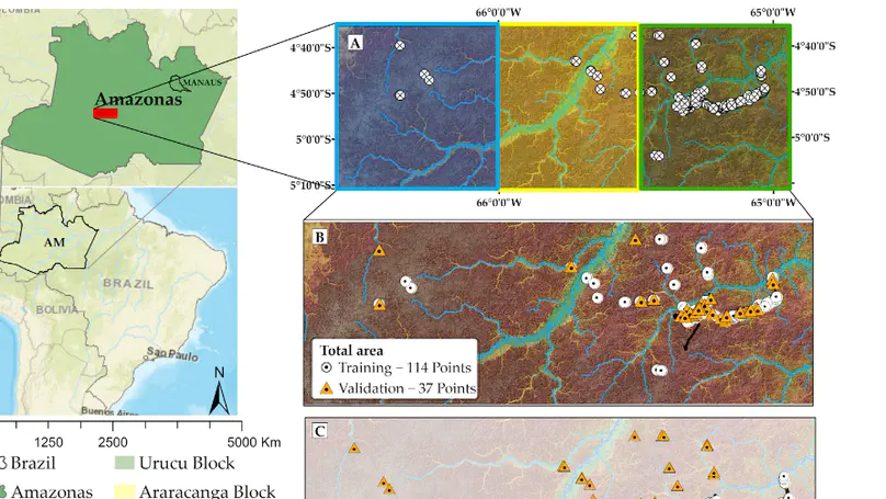 Use of Airborne Radar Images and Machine Learning Algorithms to Map Soil Clay, Silt, and Sand Contents in Remote Areas under the Amazon Rainforest